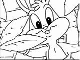 Tunes Looney Baby Bugs Bunny Bros Warner Coloring Wecoloringpage sketch template