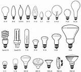 Objects Bulbs Section Drawing sketch template