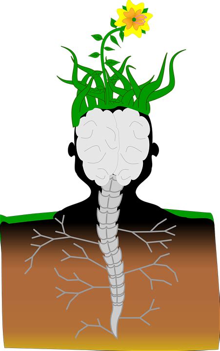 Plant Brain Spine Free Vector Graphic On Pixabay