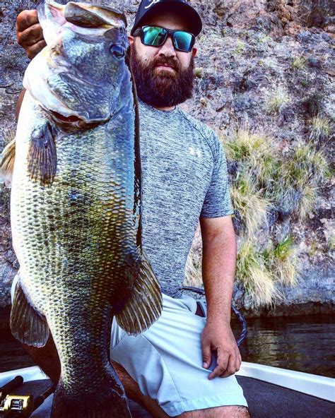 personal  bass fishing addicted bass guides