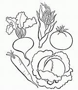 Vegetable Fruits Coloringhome sketch template