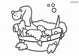 Hund Perro Malvorlage Hunde Colorear Bath Ausmalbild Zum Ausmalen Colomio Badender Mops sketch template