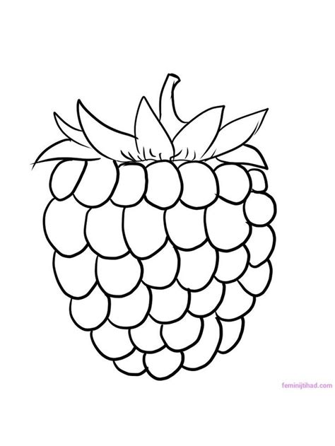 raspberry coloring picture