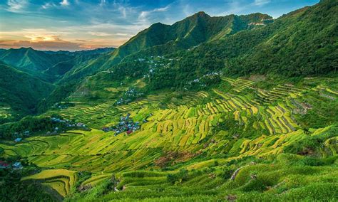 Banaue Rice Terraces Activities And Attractions Vacationhive