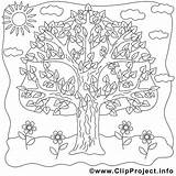 Ausmalbilder Baum Mandala Zum Ausmalbild Ausdrucken Ausmalen Kostenlose Sommer Mandalas Jahreszeiten Gratis Erwachsene Malvorlagen Coloring Zu Ideen Entdecke sketch template