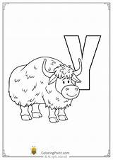 Yak Tracing Letters sketch template