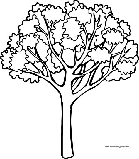 big fall tree coloring page wecoloringpagecom