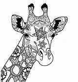 Giraffe Girafe sketch template