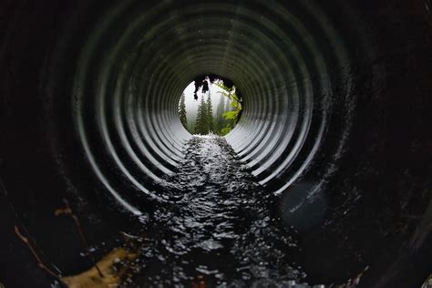 significance  maintaining  homes sewer network