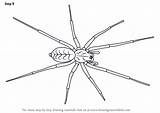 Spider Drawing Draw Step Arachnids House Necessary Improvements Finally Finish Make Tutorials Drawingtutorials101 sketch template