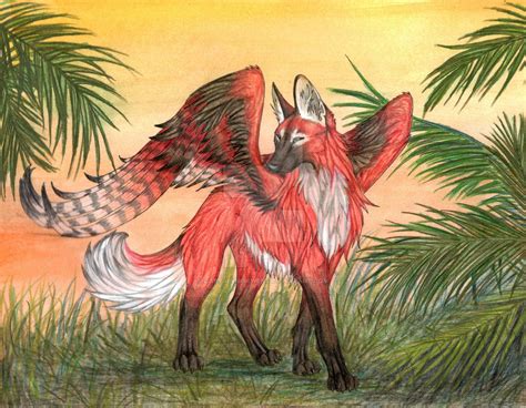 maned wolf coloring  maned wolf coloring