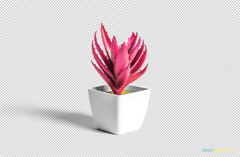small plant pot design mockup  psd designhooks