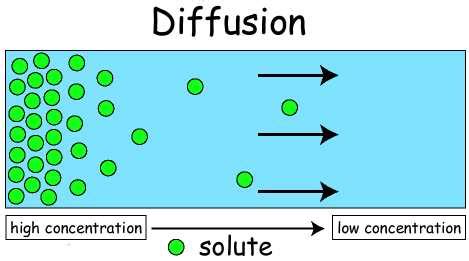 definition osmosis diffusion active transport