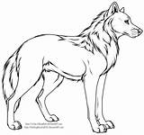 Wolf Drawing Dog Wolves Cartoon Line Drawings Body Deviantart Clipart Fighting Easy Coloring Standing Paint Draw Ms Wings Clip Cliparts sketch template