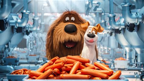 secrete life  pets animated  wallpaperhd movies wallpapers