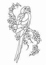 Perroquet Coloriage Branche Ara Colorier Animaux Hugolescargot Coloriages Oiseaux Hugo sketch template