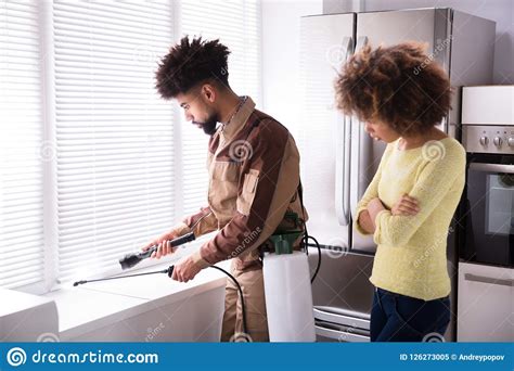 pest control worker spraying insecticide on window sill stock image