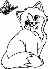 Kucing Mewarnai sketch template