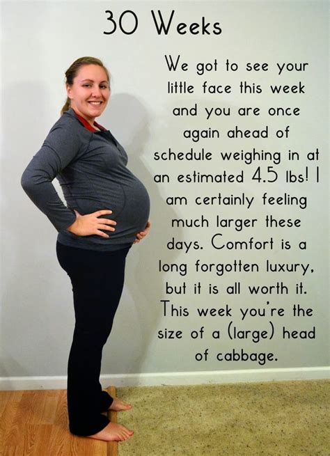 bumpdate 30 weeks pregnant the well planned mama pregnancy