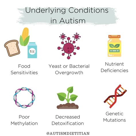 autism food list snack ideas autism dietitian