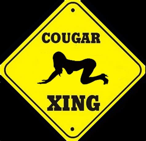 Sexual Cougars Taboo Jive