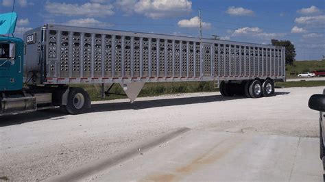 livestock cattle  animal transport trailer guide