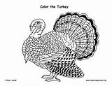 Turkey Coloring Wild Pages Strutting Library Clipart sketch template