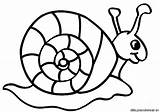Caracoles Snail Caracol Colorir Escargot Animais Snails Caracois Printable Facil sketch template
