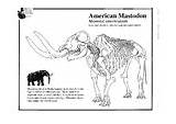 Coloring Pages Mastodon sketch template