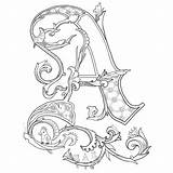 Alphabet Illuminated Lettering Calligraphy Letters Pages Coloring Caligraphy Adults Medieval sketch template