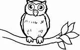 Burung Hantu Buho Hitam Sketsa Kolase Coruja Diwarnai Paud Mewarnai Warnai Pintarcolorir Buhos Owls Arbol Pilih Papan Precioso sketch template