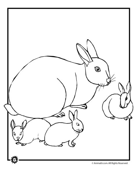 baby bunny coloring pages woo jr kids activities childrens