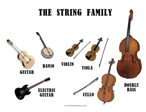 musical instrument families