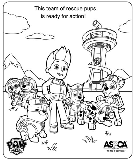 paw patrol coloring pages learny kids