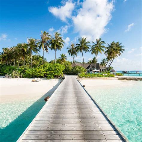 maldives holidays   travelbag