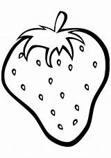 Strawberry Coloring Pages Fruit Printable Parentune Worksheets Preschoolers sketch template