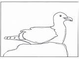 Coloring Seagull Kids Crafts Popular Coloringhome sketch template