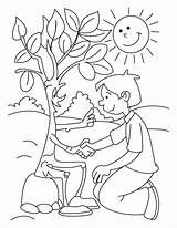 Coloring Pages Tree Shaking Hand sketch template