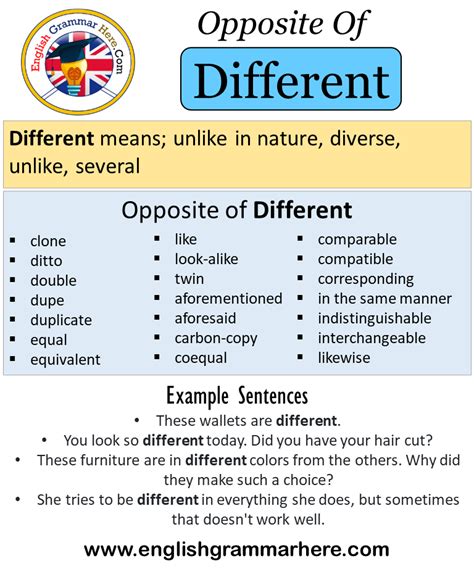 antonyms   meaning   sentences english grammar