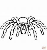Spider Coloring Cartoon Pages Spiders Printable Drawing Halloween Colorings Supercoloring Categories sketch template