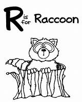 Raccoon Coloring Pages Color Racoon Printable Netart Everfreecoloring Getcolorings sketch template