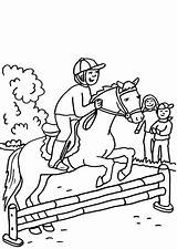 Pferde Pferd Springreiten Malvorlage Malvorlagen Ausdrucken Springen Drucken Malen Hindernis Kind 1ausmalbilder sketch template