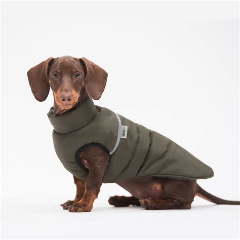 dog clothes dachshund clothes warm jacket  dog warm etsy