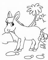 Coloring Donkey Pages Happy Funny Children Twelve sketch template
