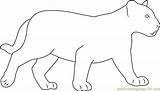 Panther Coloringpages101 Panthers Designlooter sketch template