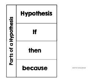 hypothesis lesson interactive notebook pages  mini lab tpt