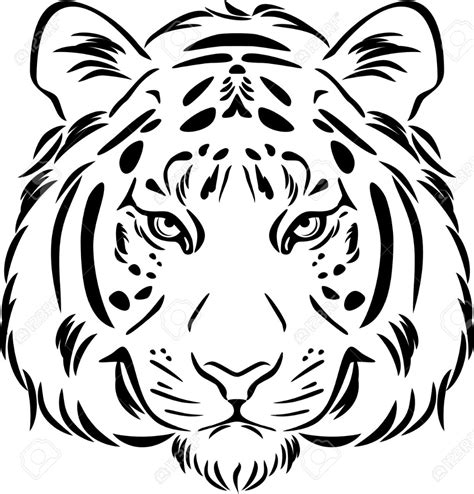 tiger head black  white outline tiger outline tiger art