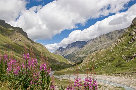 gran paradiso national park stock  pictures royalty  images istock