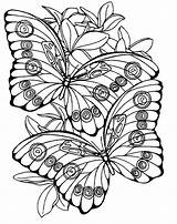 Coloring Pages Print Adults Adult Getcolorings Printable Color Butterfly Spring sketch template