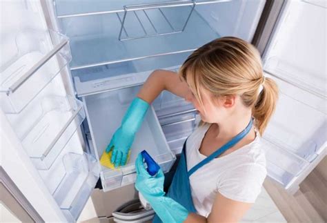 clean mold   refrigerator seals shiny modern